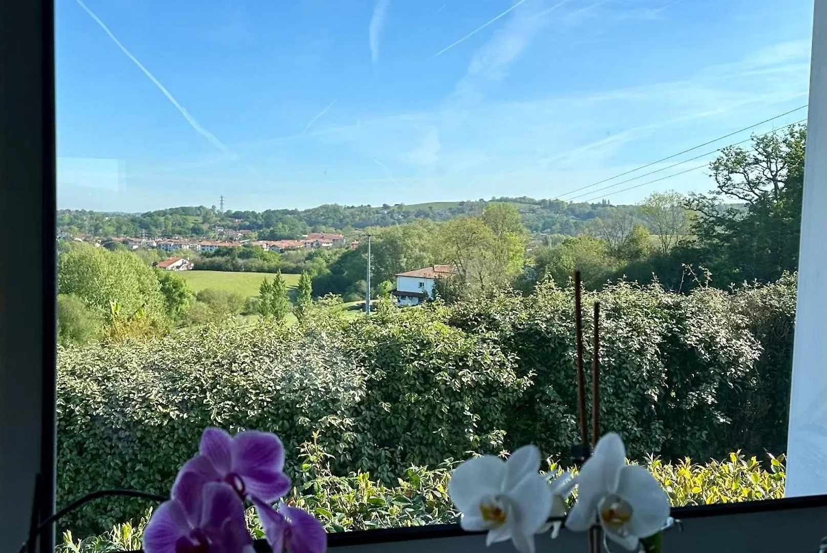 Villa A 5Min De Bayonne Avec Piscine Chauffe Et Salle De Sport Saint-Pierre-d'Irube 0*,
